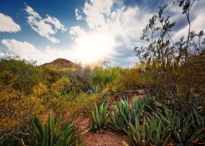 Crowne Plaza Airport - Phx By Ihg Hotel 3*